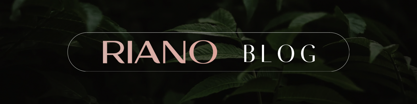 9D2C68B6-C804-4688-BC61-488BE547B0F7-min.PNG (340 KB)