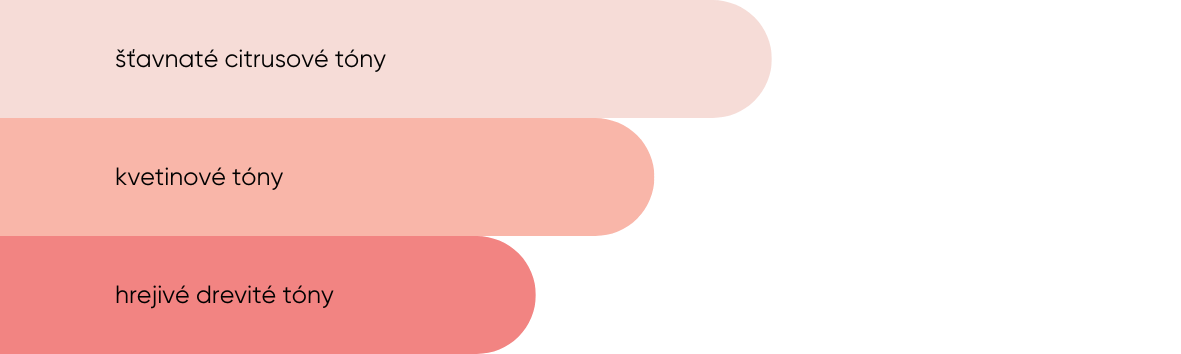 SK Tiffosi dámská parfémovaná voda Unforgettable, 50ml-min.png (9 KB)