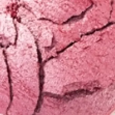 Flormar zapečená tvářenka terracotta, 9g, č.40 Shimmer Pink